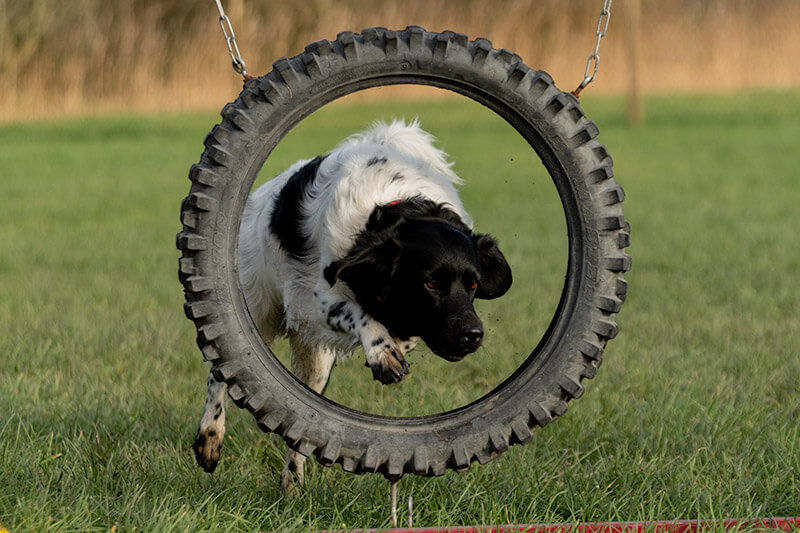 be-hendig-heid cursus