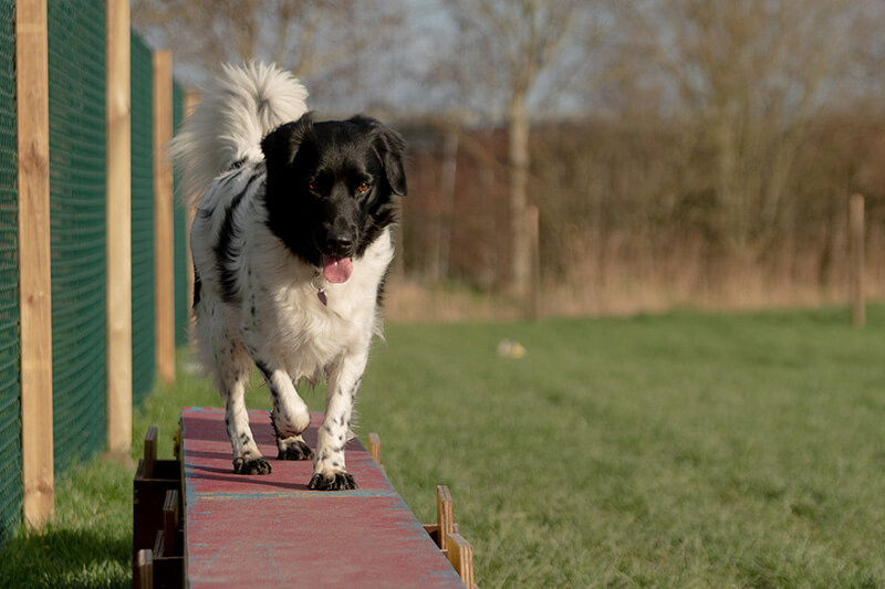 be-hendig-heid cursus